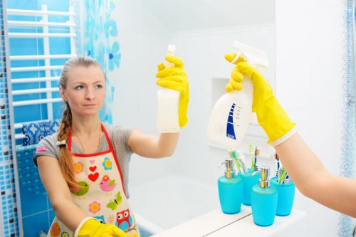 Professional steam carpet cleaning equipment in a Westkensington home