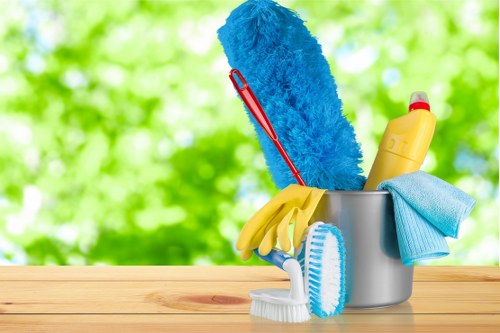 Professional oven cleaning service in a Westkensington home kitchen
