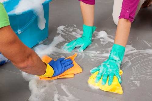 Residential and commercial cleaning support in Westkensington