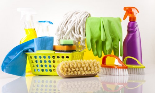 Professional carpet cleaning in a West Kensington home