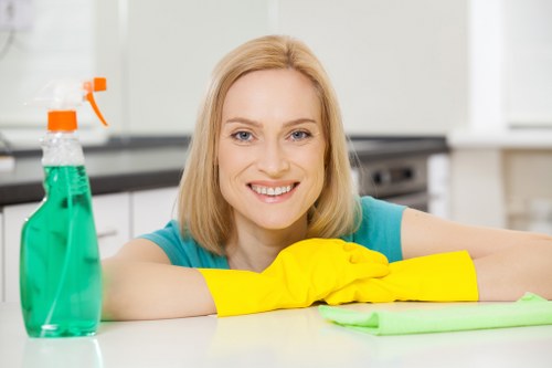 Kitchen and bathroom domestic cleaning in Westkensington property