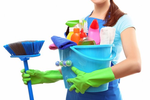 Professional cleaning supplies arranged for a service booking