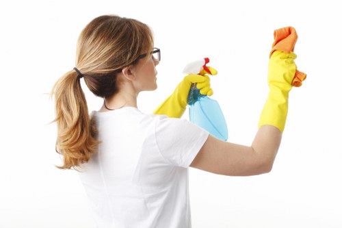 Deep cleaning treatment for pet stains on a rug or carpet